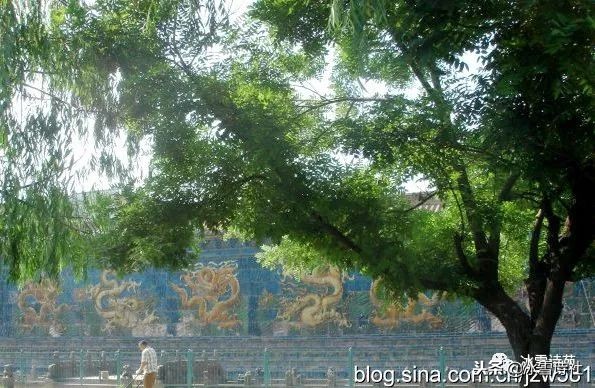 晋善晋美梅兰竹菊,晋善晋美山西行