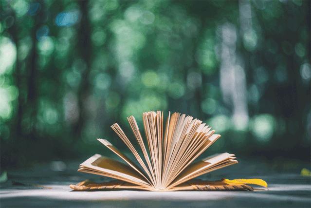 如何把作文写出美感,让作文语言更生动