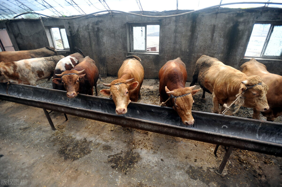 2024年湖北省重点项目清单黄冈,湖北黄冈公告