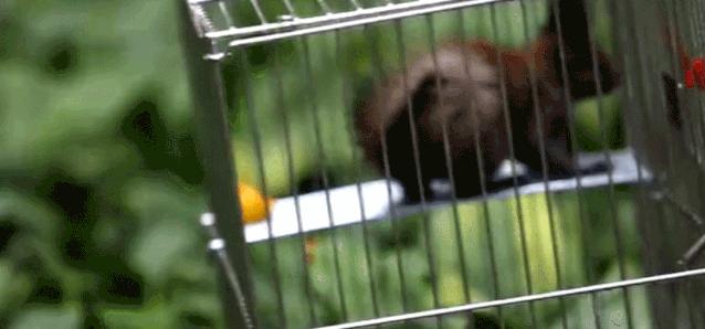 辽宁附近的温泉,辽宁省温泉分布图