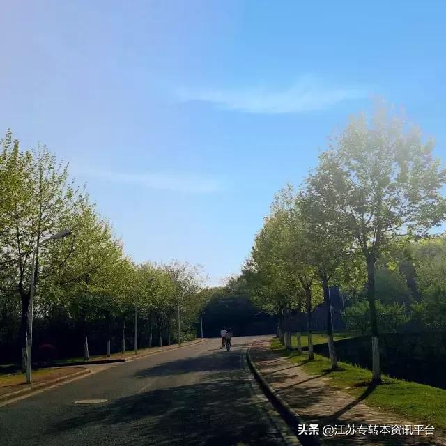 江苏专转本院校介绍「南京师范大学中北学院」