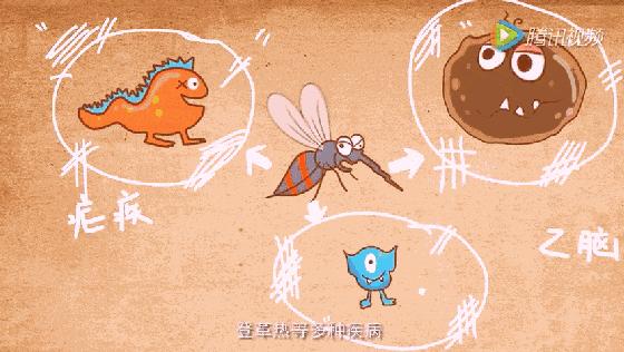 o型血吃什么避免蚊子,b型血比o型血还吸引蚊子