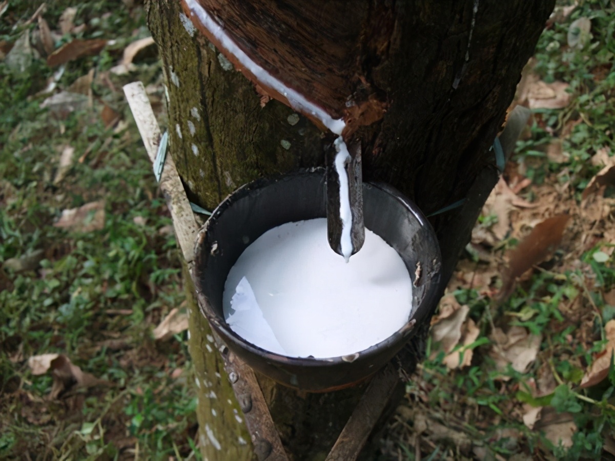 一看二闻三摸怎么辨别好坏,一看二摸三检测