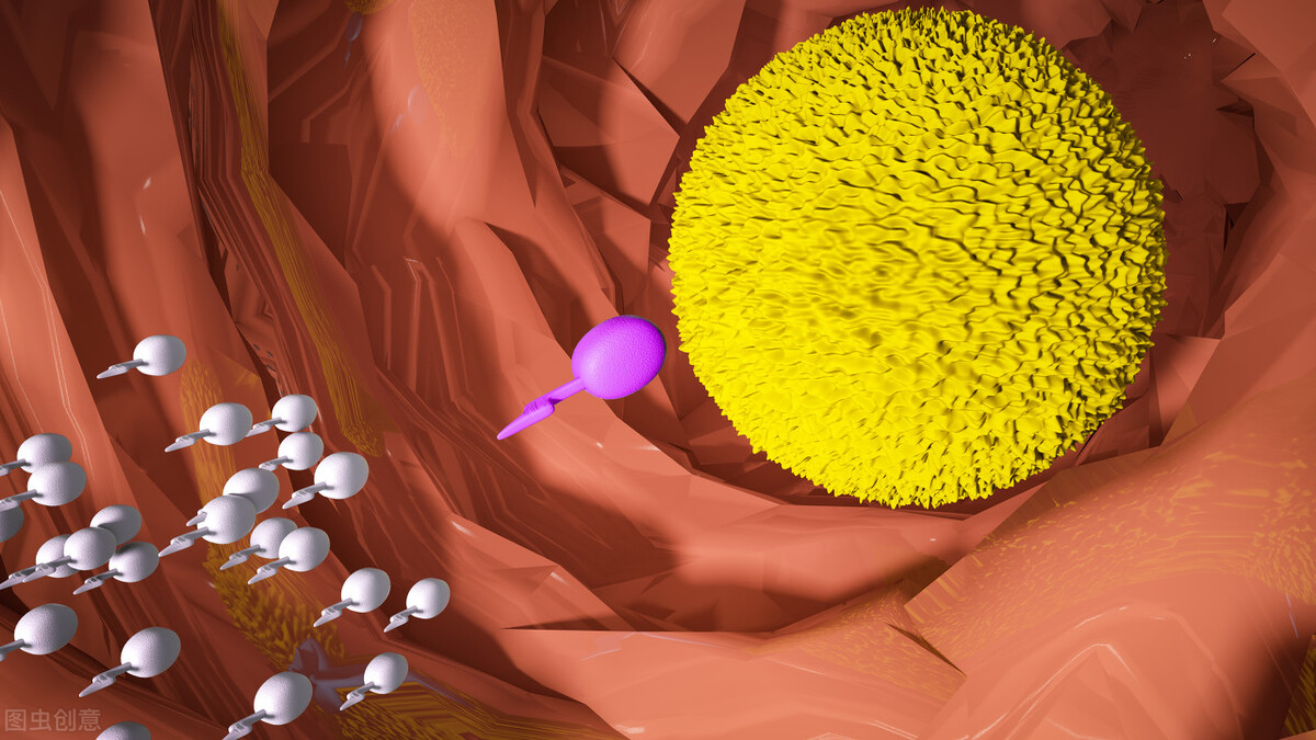 蛇性本淫是什么,蛇性本淫的意思