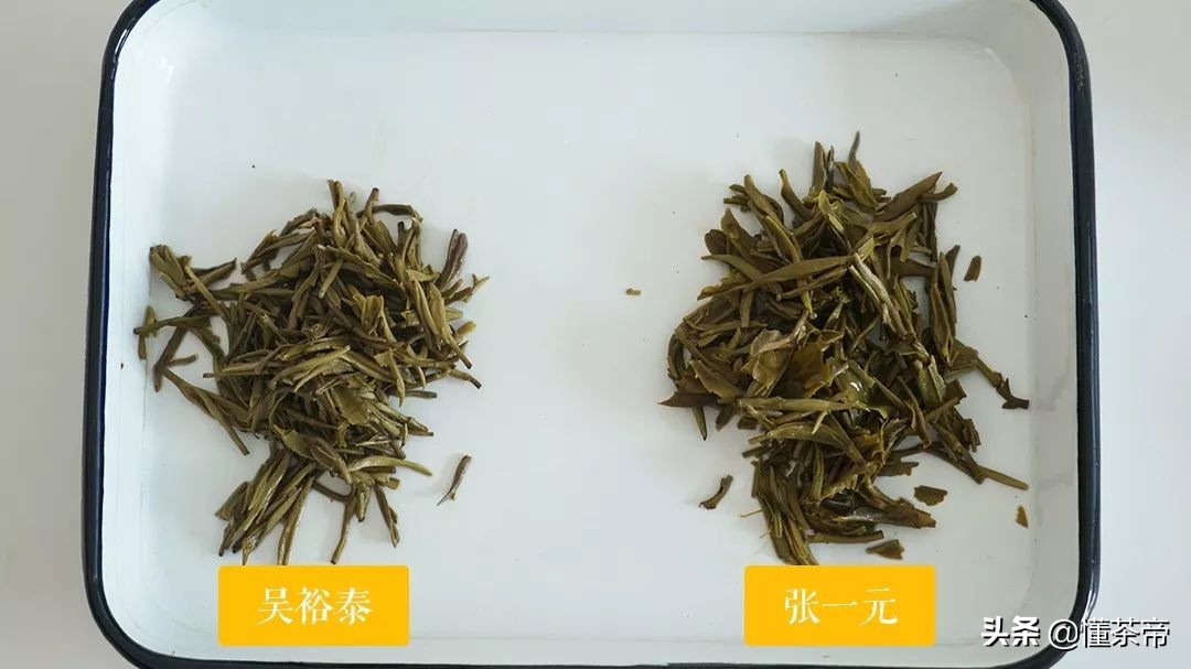 巨头PK，张一元VS吴裕泰茉莉花茶客观测评，谁更胜一筹？