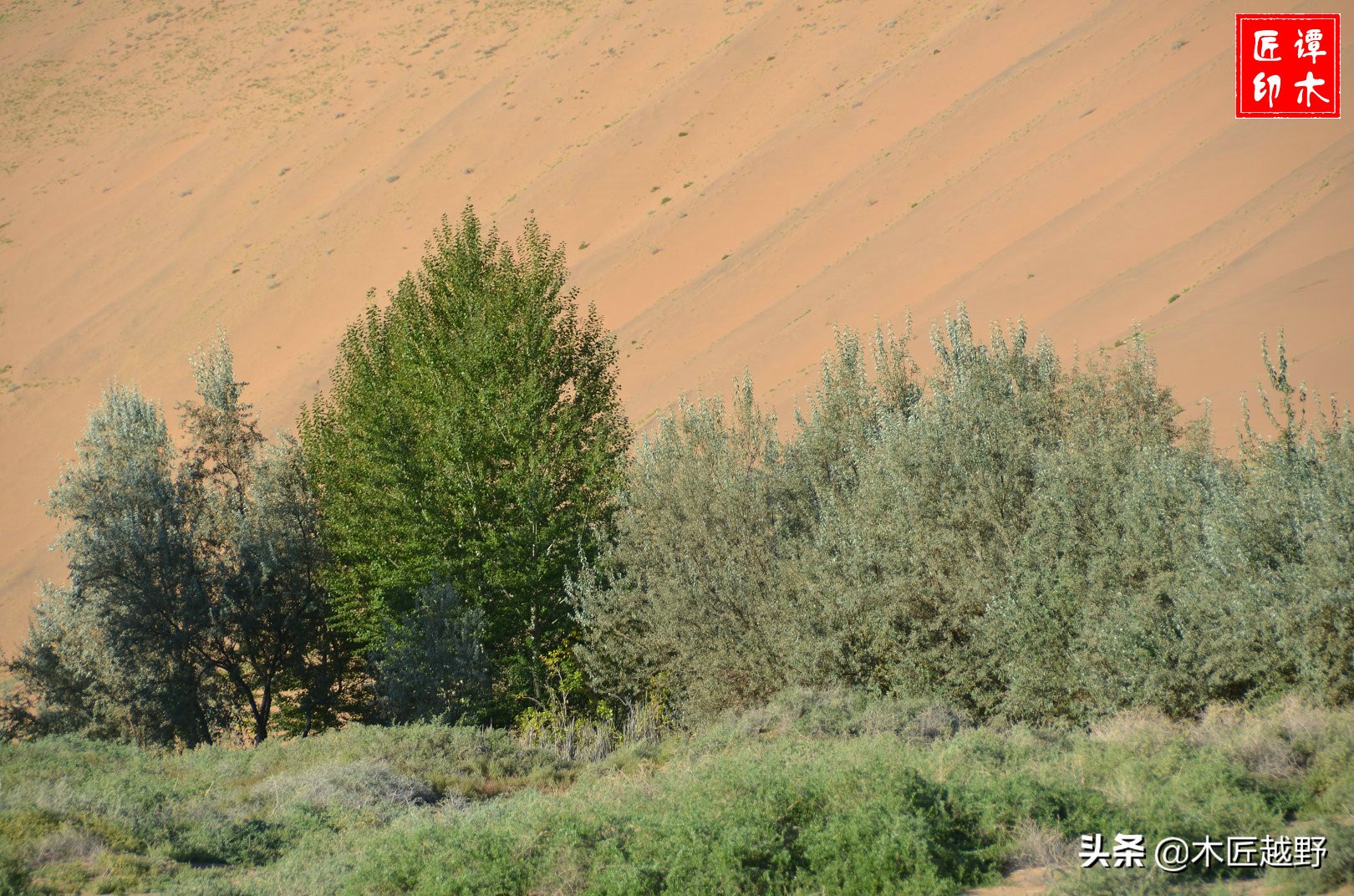 当木工学徒,当木匠的故事