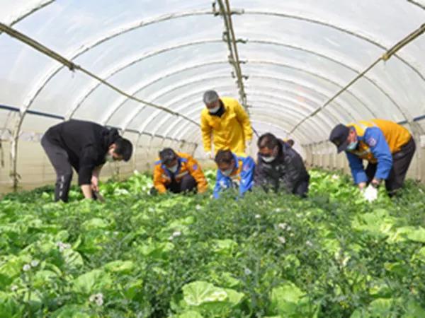 閾佽矾鐗╄祫鏀彺姝︽眽,鍏ㄥ浗楂橀搧鏀彺姝︽眽鐗╄祫
