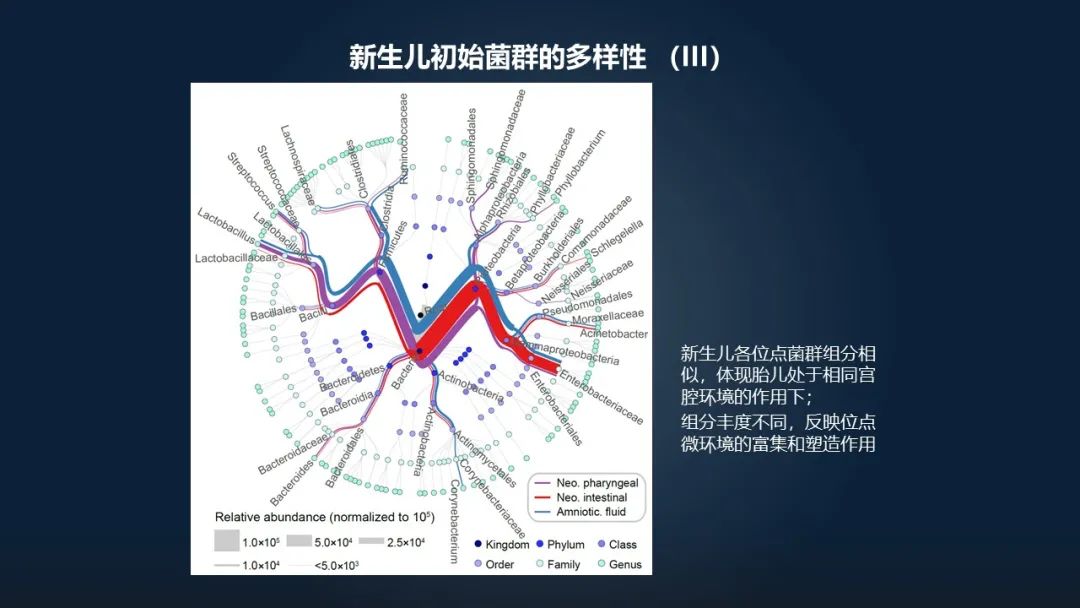 赵方庆：18分钟讲解母亲如何将菌群遗传给后代
