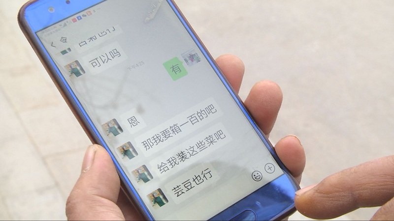 青州蔬菜下单配送,田头到餐桌蔬菜供应