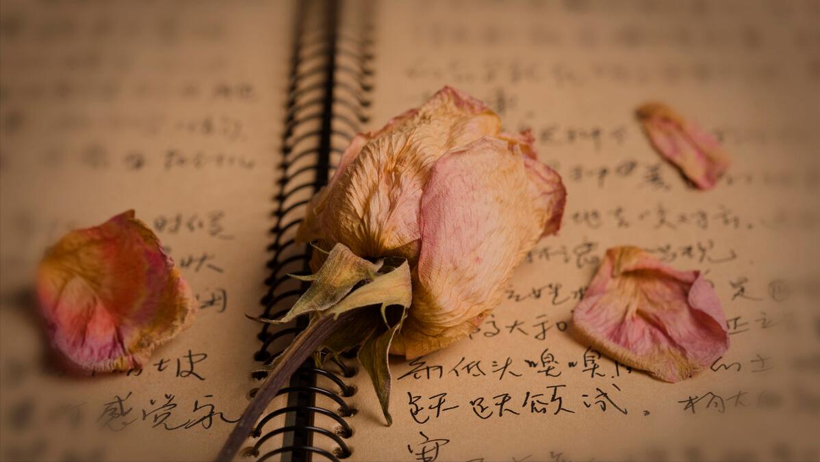 心理学女性个人成长,女性心理发展过程