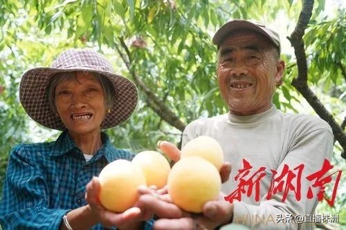 湖南日报最新新闻报道,湖南日报视频