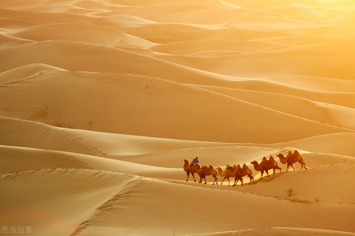 全球沙子资源枯竭如何应对,全球沙子紧缺中国人工制沙