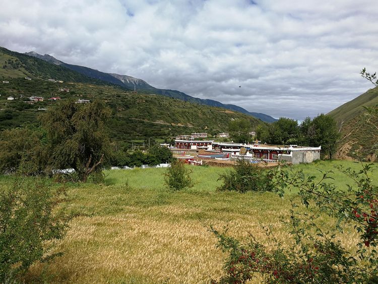 知见诗社图解,知见诗社经典笔记