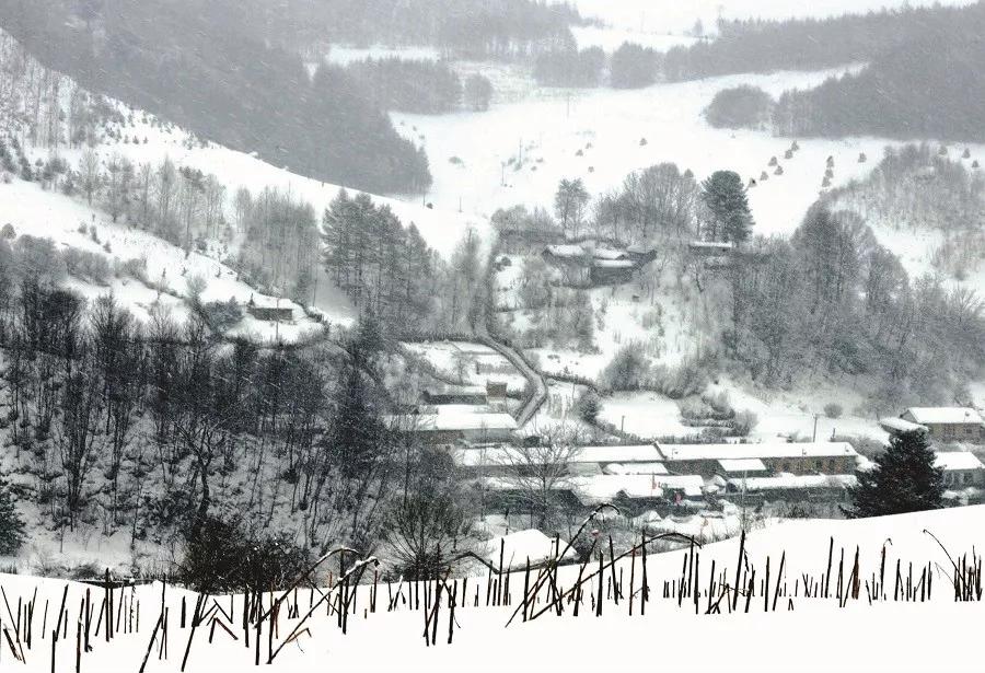 不忽悠！“拔草”这些小村屯才不辜负这个冬天