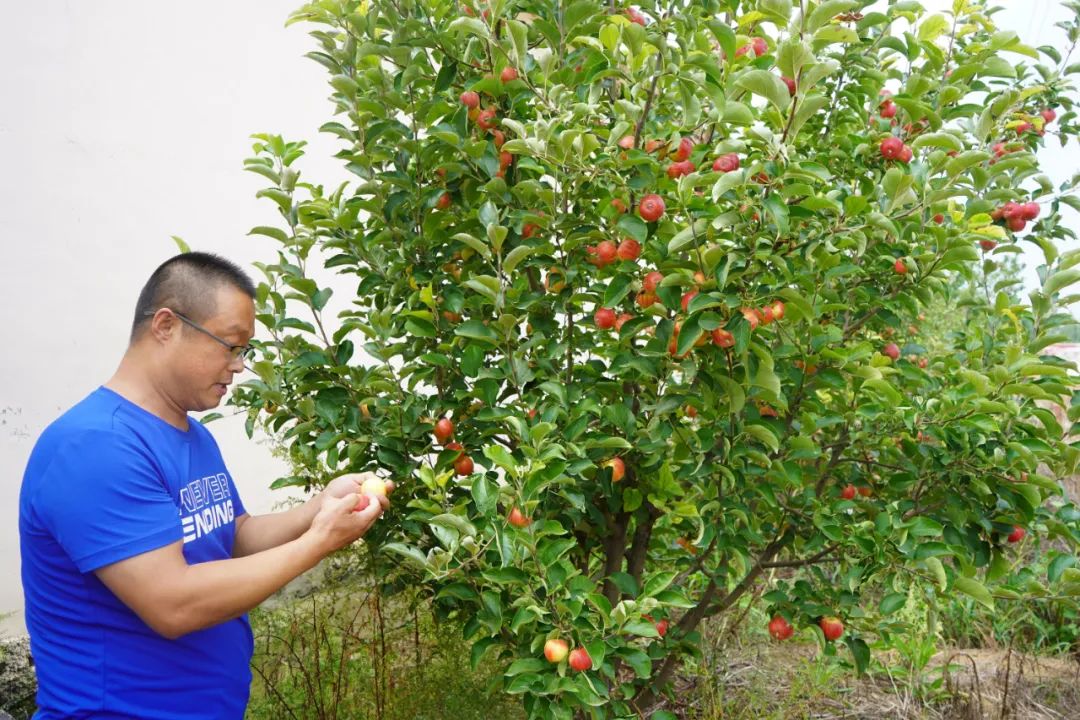走进城乡看小康乡村变化,走进乡村看小康农家乐产业