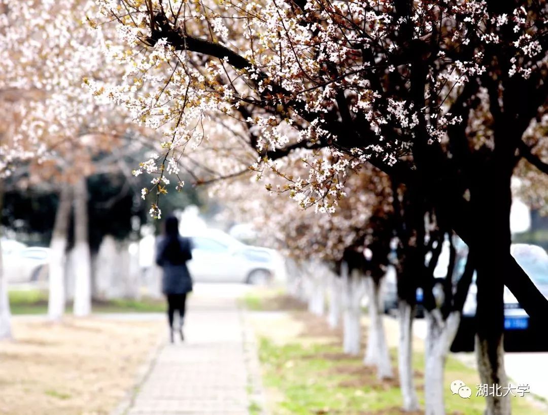 2023年考研报考人数继续飙升,考研关注