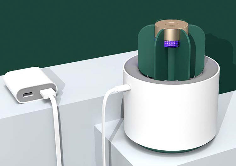 防辐射盆栽仙人掌,四季开花驱蚊的盆栽