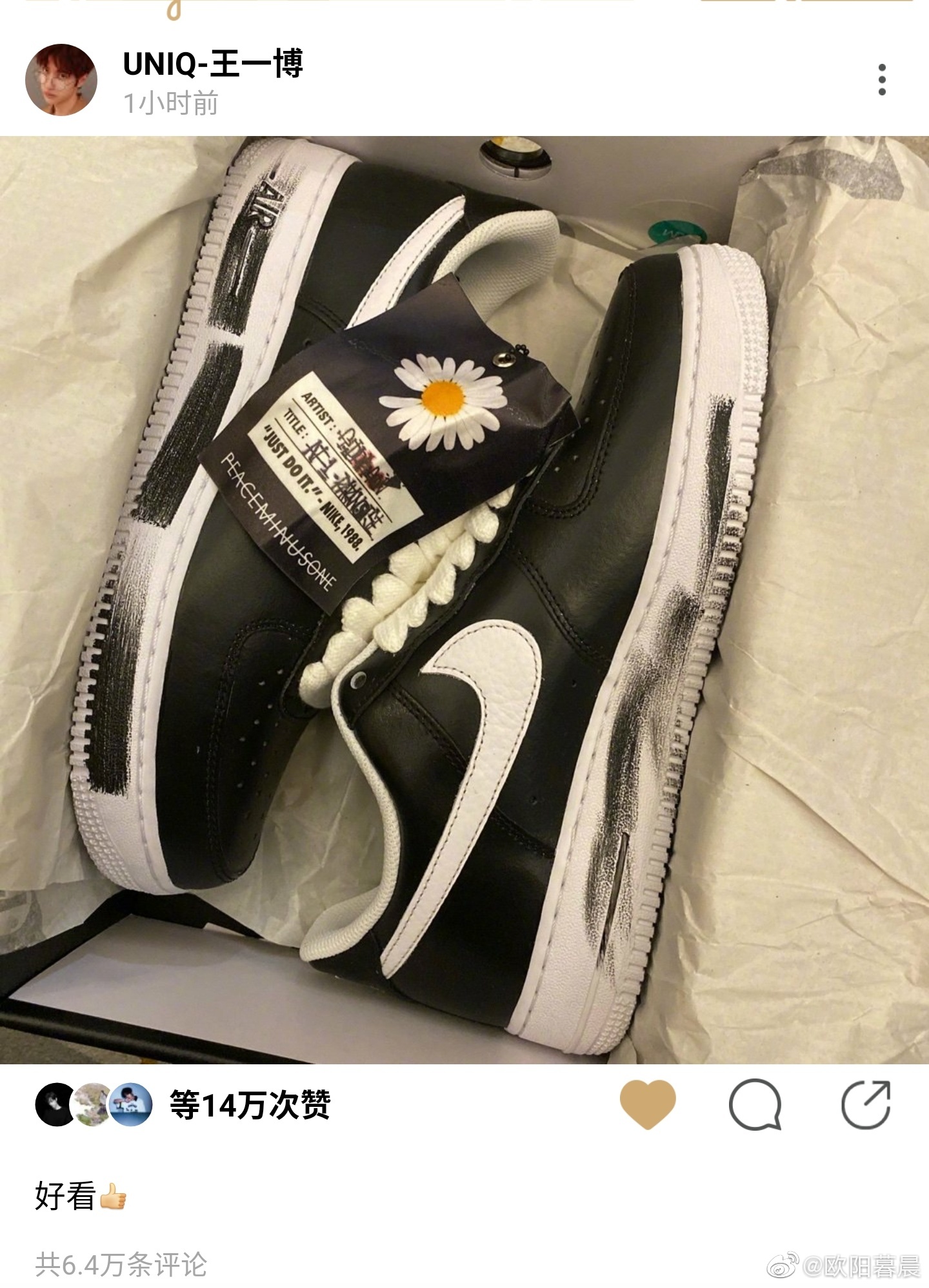 小雏菊带香味,小雏菊花果香