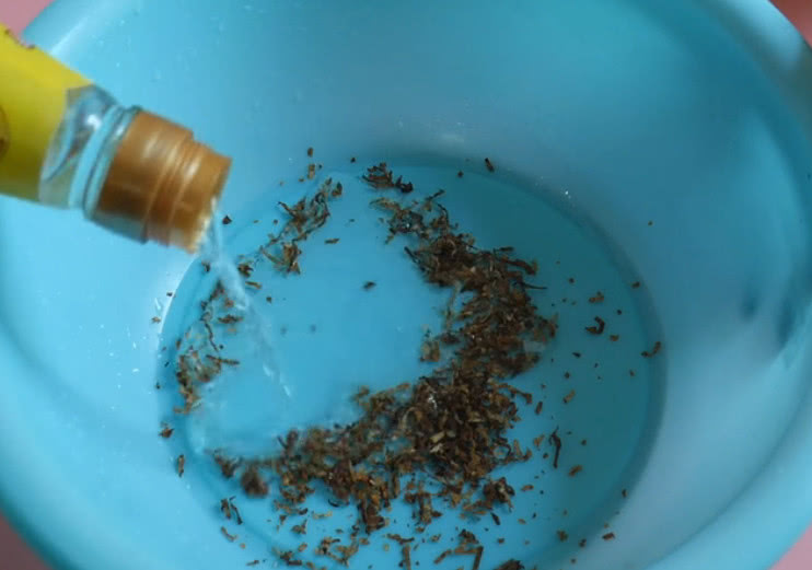 脚汗鞋子潮湿怎么办,脚出汗湿鞋解决方法