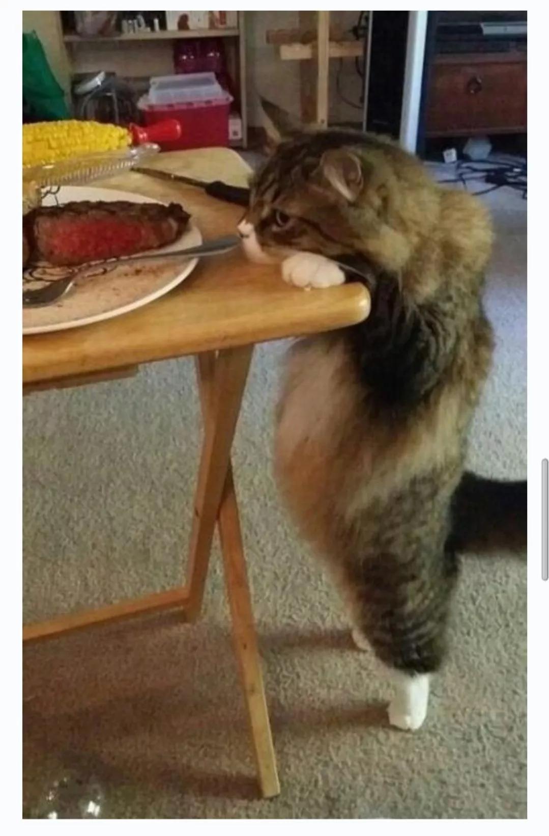 你打扫卫生时看到女客人正在洗澡，她也看到了你，这时你会干什么