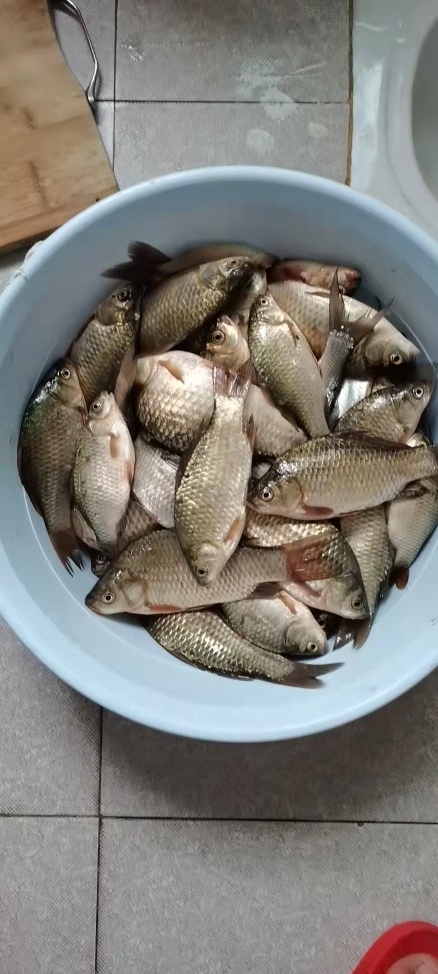 享受生活，游钓山水，光威与我同行