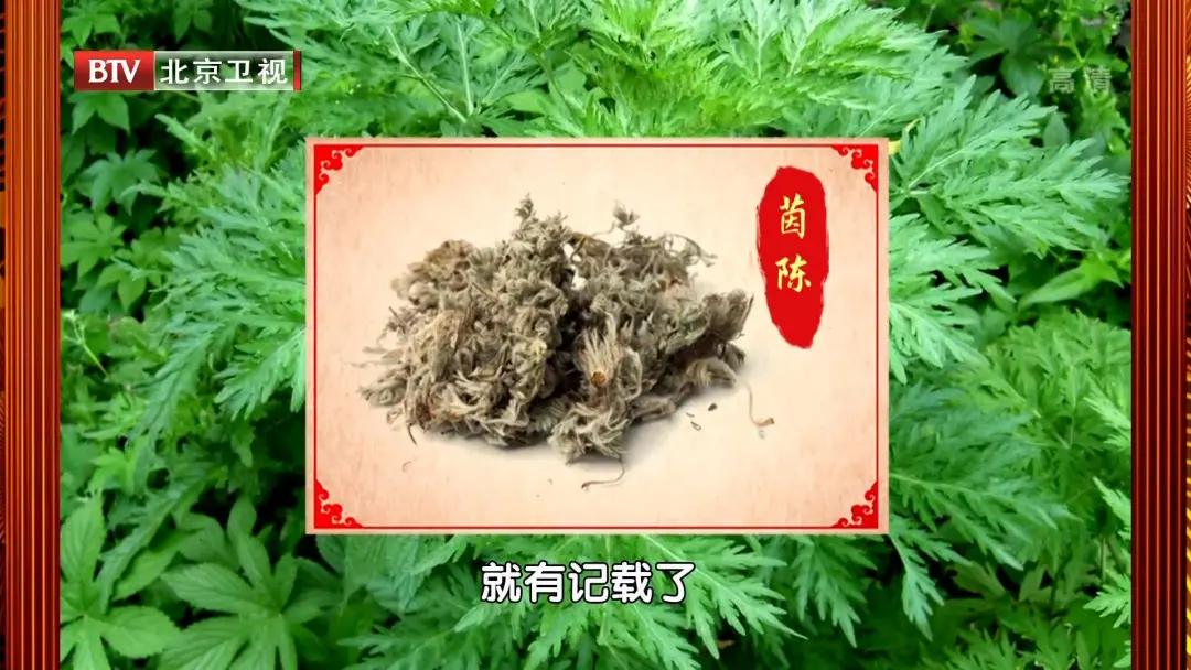 肛门长痔疮用什么中药坐浴,肛门湿热用什么中药坐浴