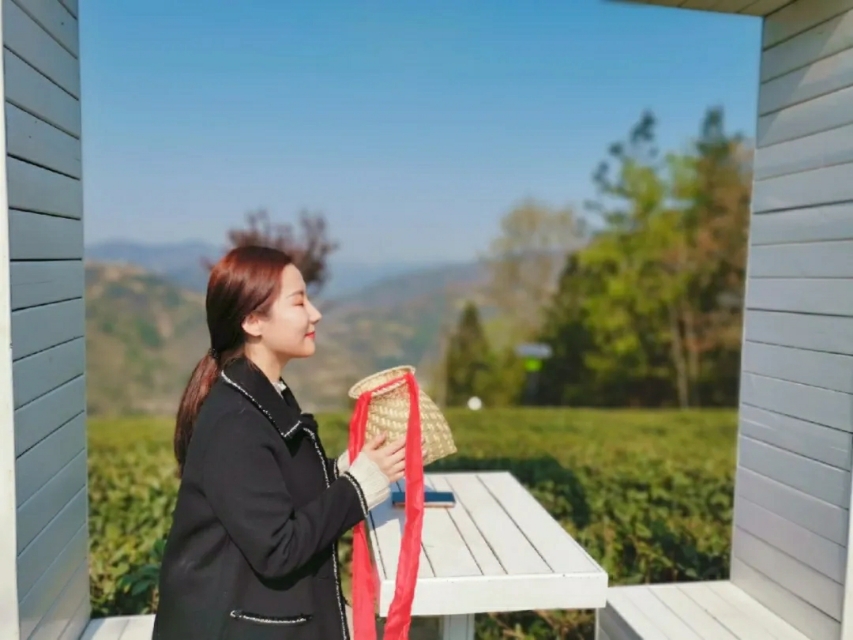 中茶和紫阳茶,紫阳的茶好还是平利的茶好