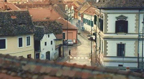 为什么导盲犬会受歧视,导盲犬被歧视合集