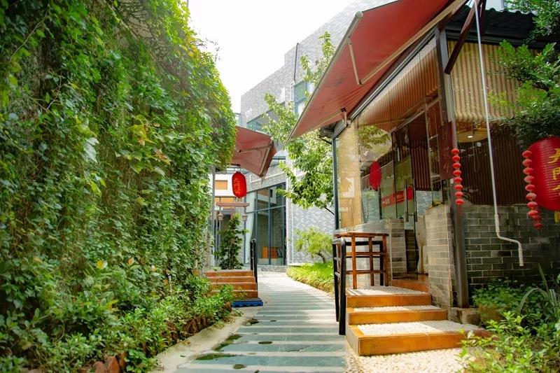 顺德老字号粤菜,精品粤菜顺德菜