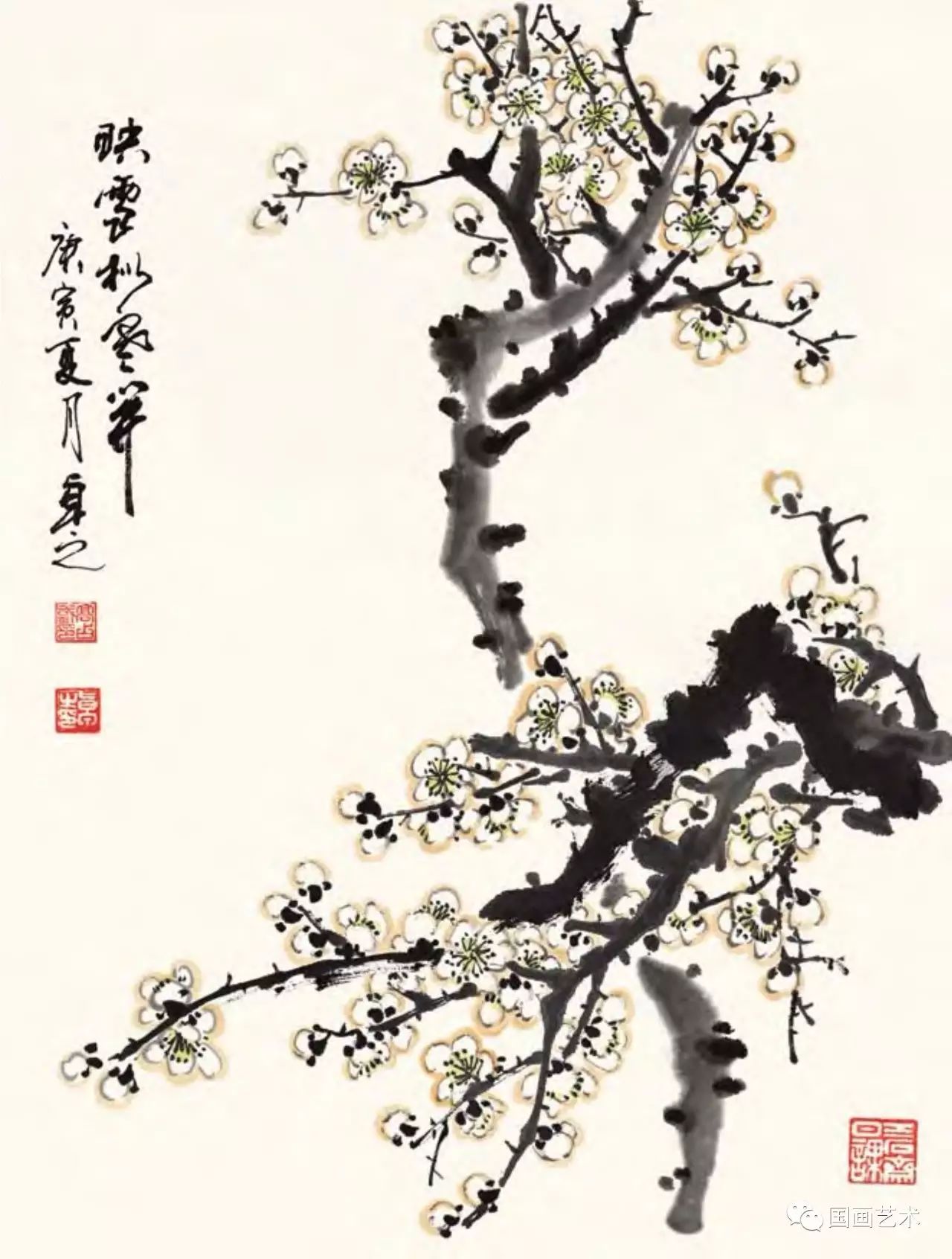 图文教程梅花,国画梅花的画法视频