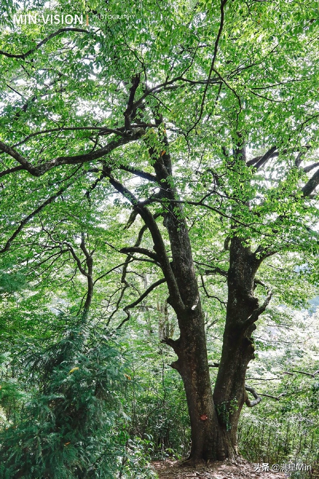 湖南隆回古寨风景,邵阳隆回十大旅游景点