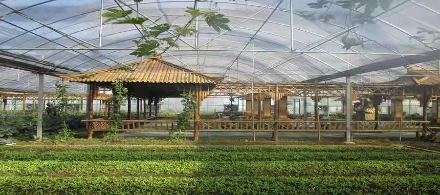 四川农村有哪些创业项目比较好的,适合农村的小型加工厂创业项目