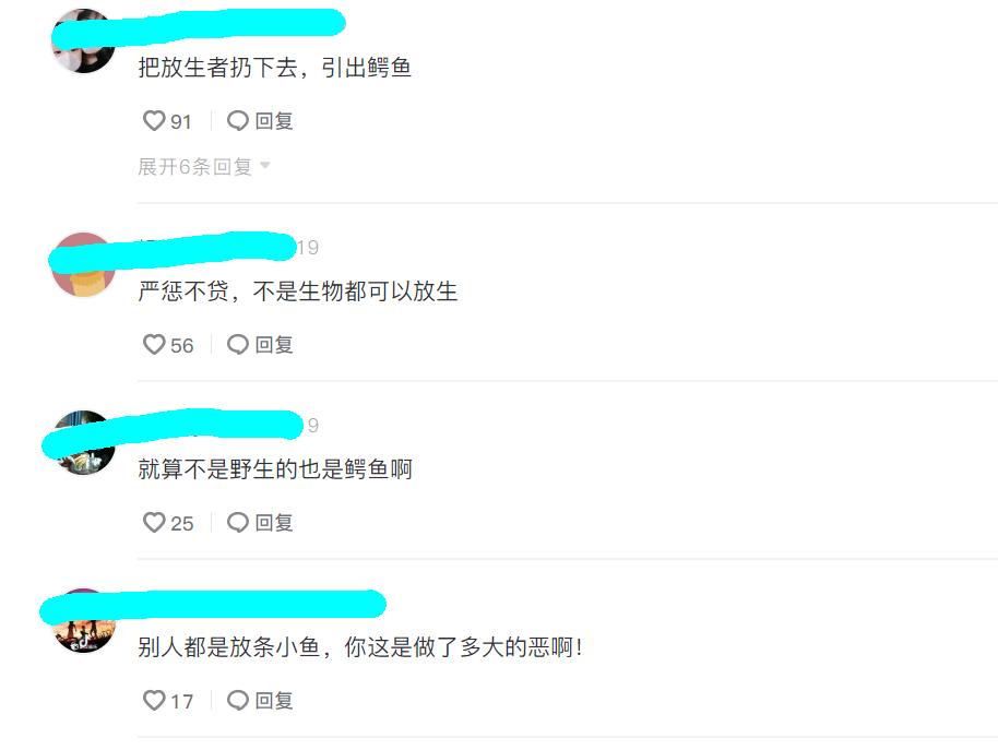 武安放生的鳄鱼找到了吗,武安市通报鳄鱼放生事件