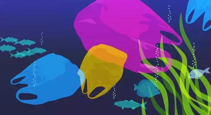 【世界地球日】海龟鼻子里扎进一根12厘米吸管，看得人心疼！