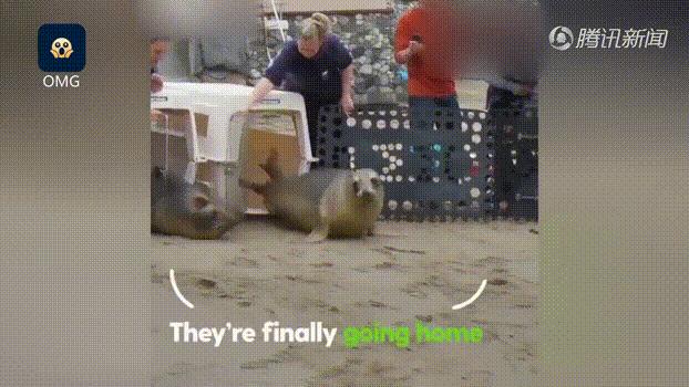 被囚34年取精，被迫亲手杀死爱子，最后只能挣扎着死去…