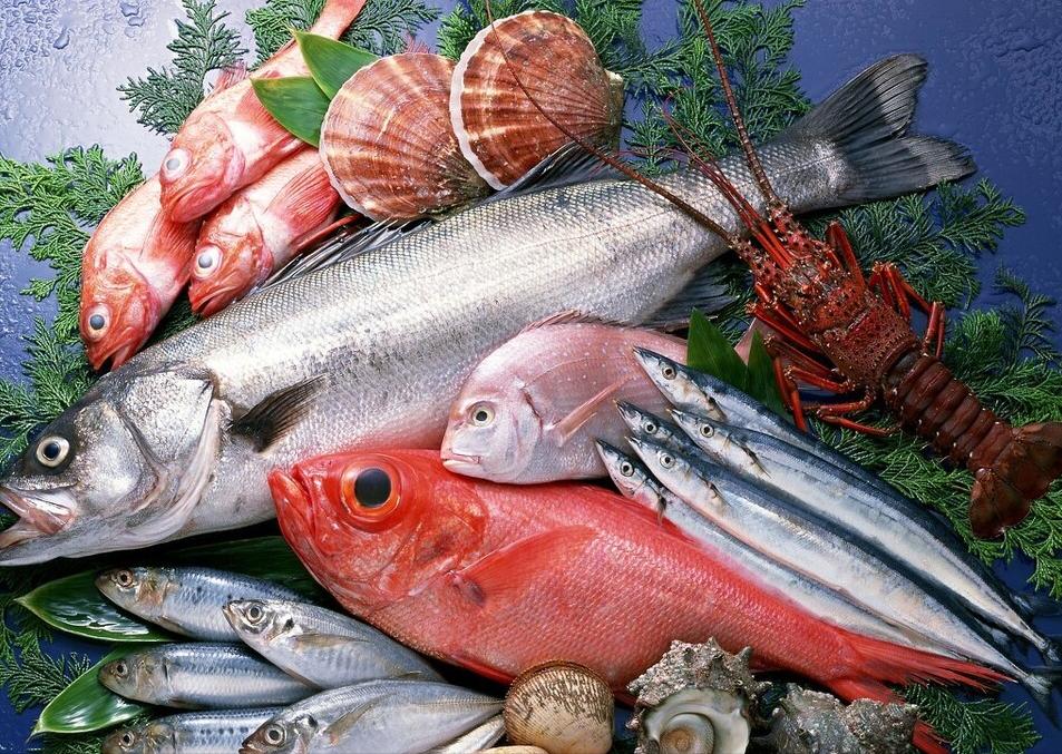 宝宝有没有必要补dha (宝宝吃dha作用与功效)