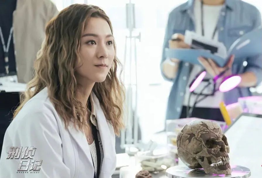 刑侦日记1-46集在线免费观看,刑侦日记第10集粤语版在线观看