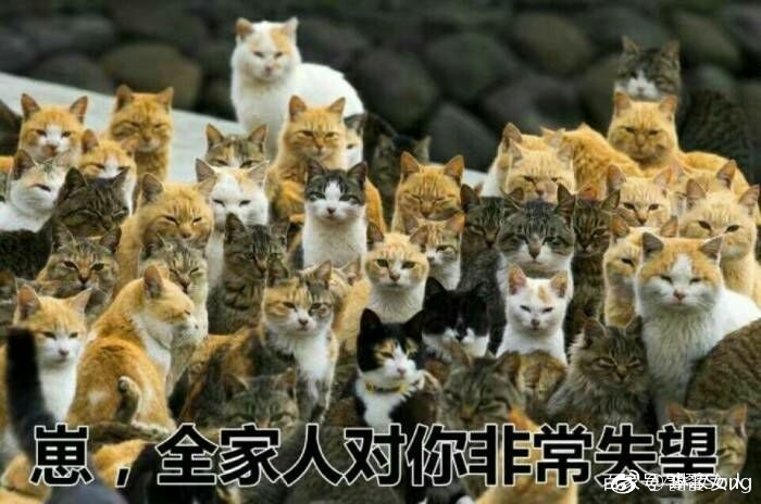 日本化妆品保质期5年,日本化妆品保质期字母怎么看