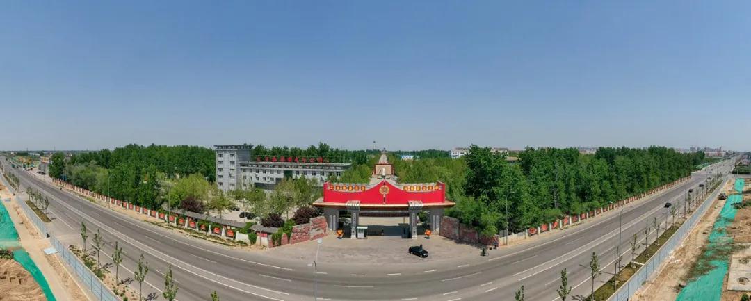 古贝春4连冠,古贝春2019精选价格