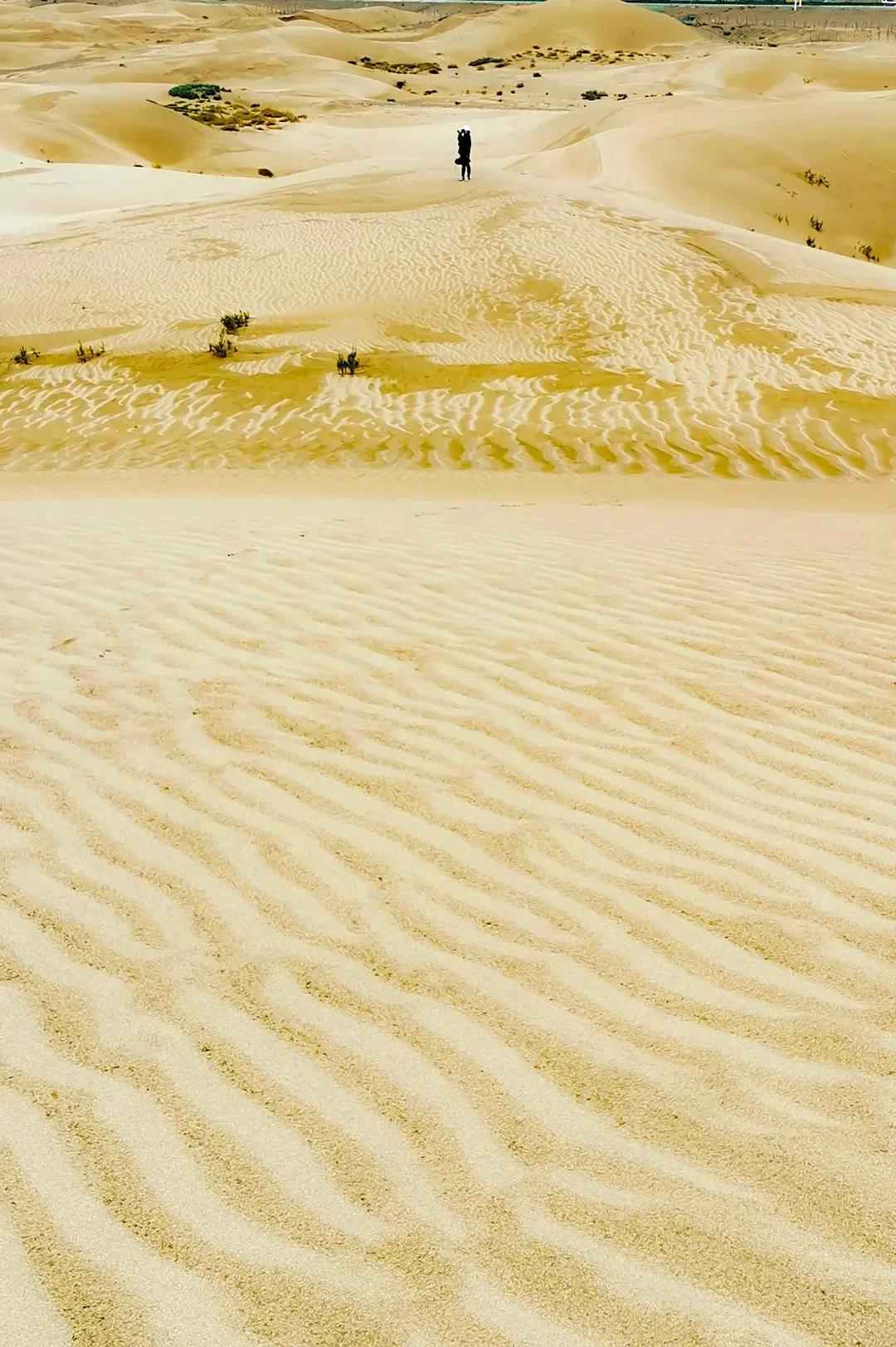 拉林铁路有哪些高铁站,拉林高铁美景