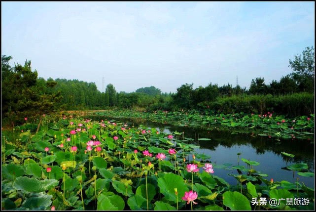日照旅游景点万平口海洋公园,日照周边自驾一日游景点大全