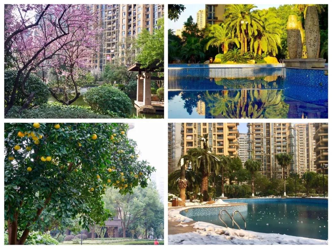 上千人带小板凳通宵排队买的万家花城，热带风情园林太经典