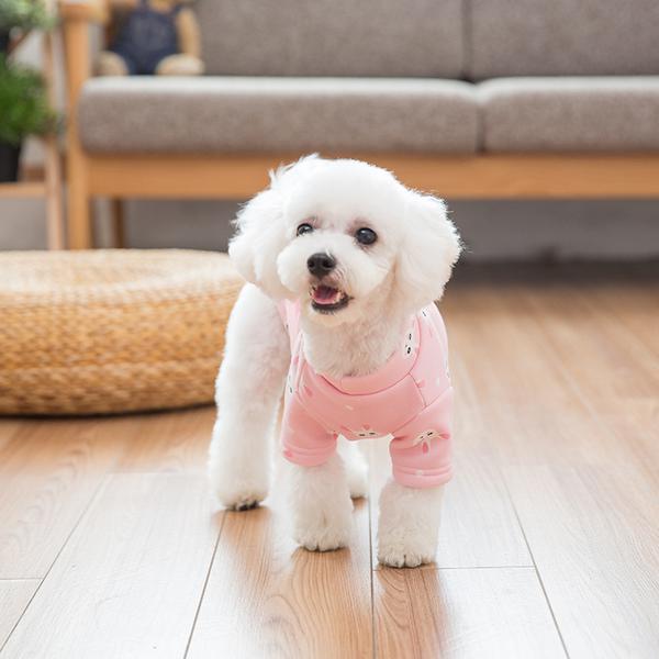 主人给狗狗穿棉服,主人给狗穿衣服
