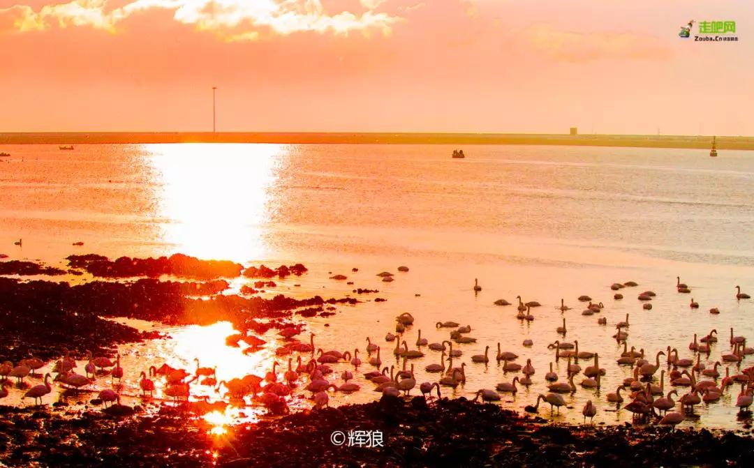 过年了爱车也要干干净净,过年了你的爱车洗干净了吗