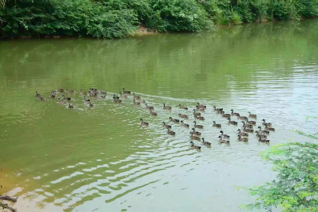 开心部落视频,开心部落平凉