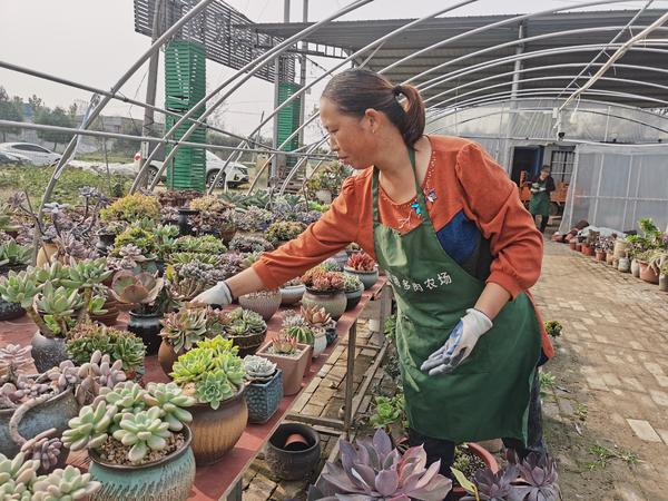 南阳直播电商创业成功,南阳直播电商快速成长