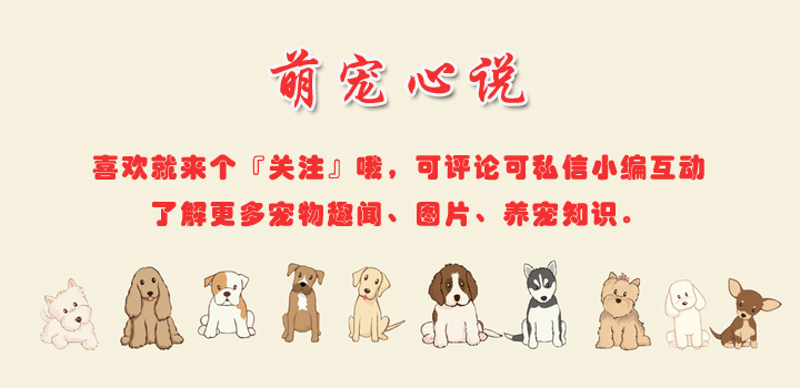 浣犵煡閬撶尗鍜篃浼氭湁璧峰簥姘斿悧,浣犵煡閬撳悧鐚挭涔熶細寰楃粨鑶滅値