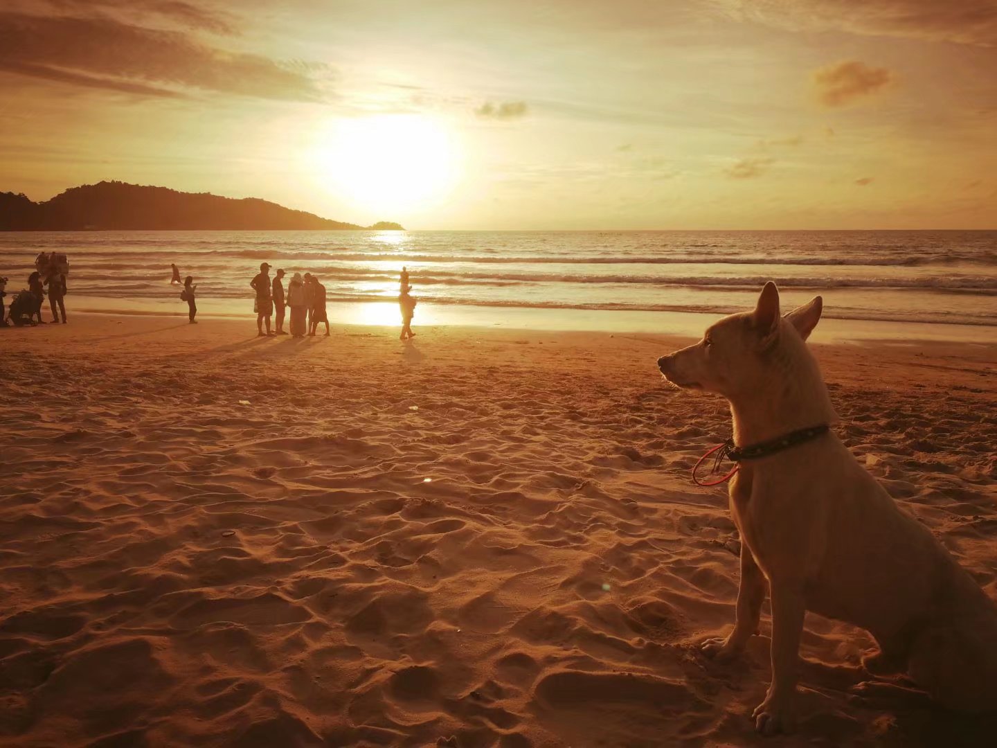 泰国旅游漫游,泰国6天惊喜之旅