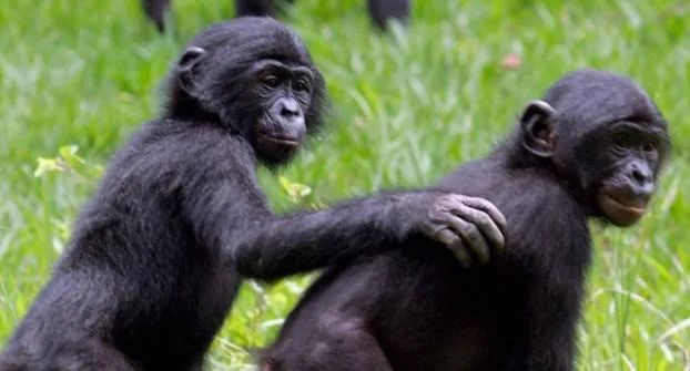 从故事中得到了什么道理,从故事中你领悟到了什么