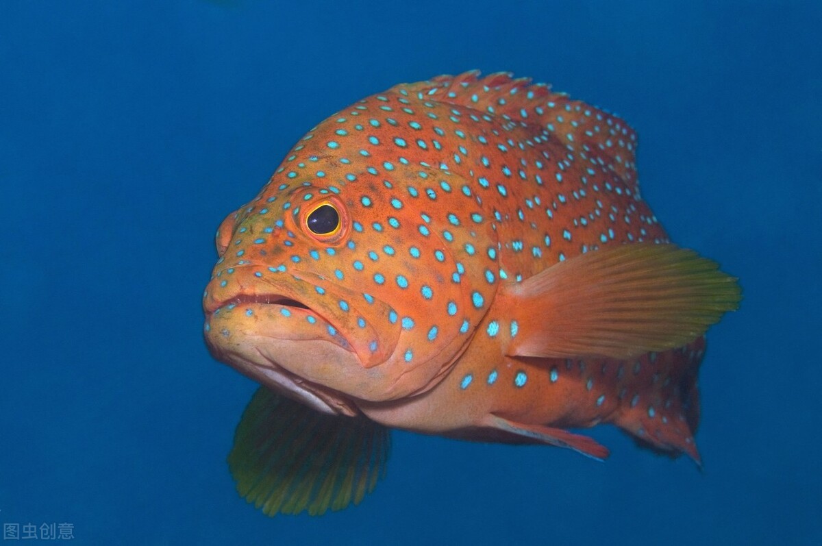 南海明珠美济岛现在建设得怎样了,美济岛收复前被哪个国家占领